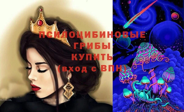 первитин Козельск