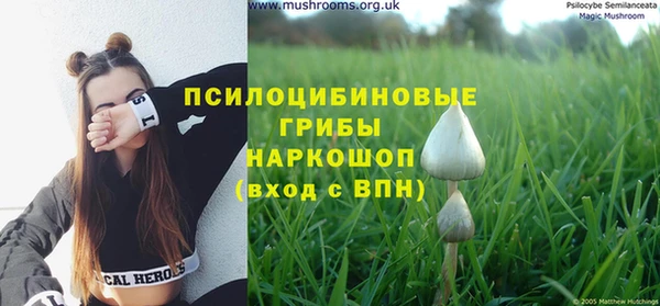 кокс Кодинск