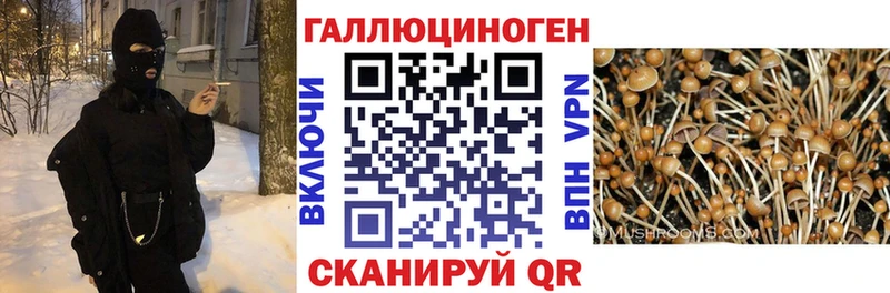 Галлюциногенные грибы GOLDEN TEACHER  Купить закладки  Красноуфимск 